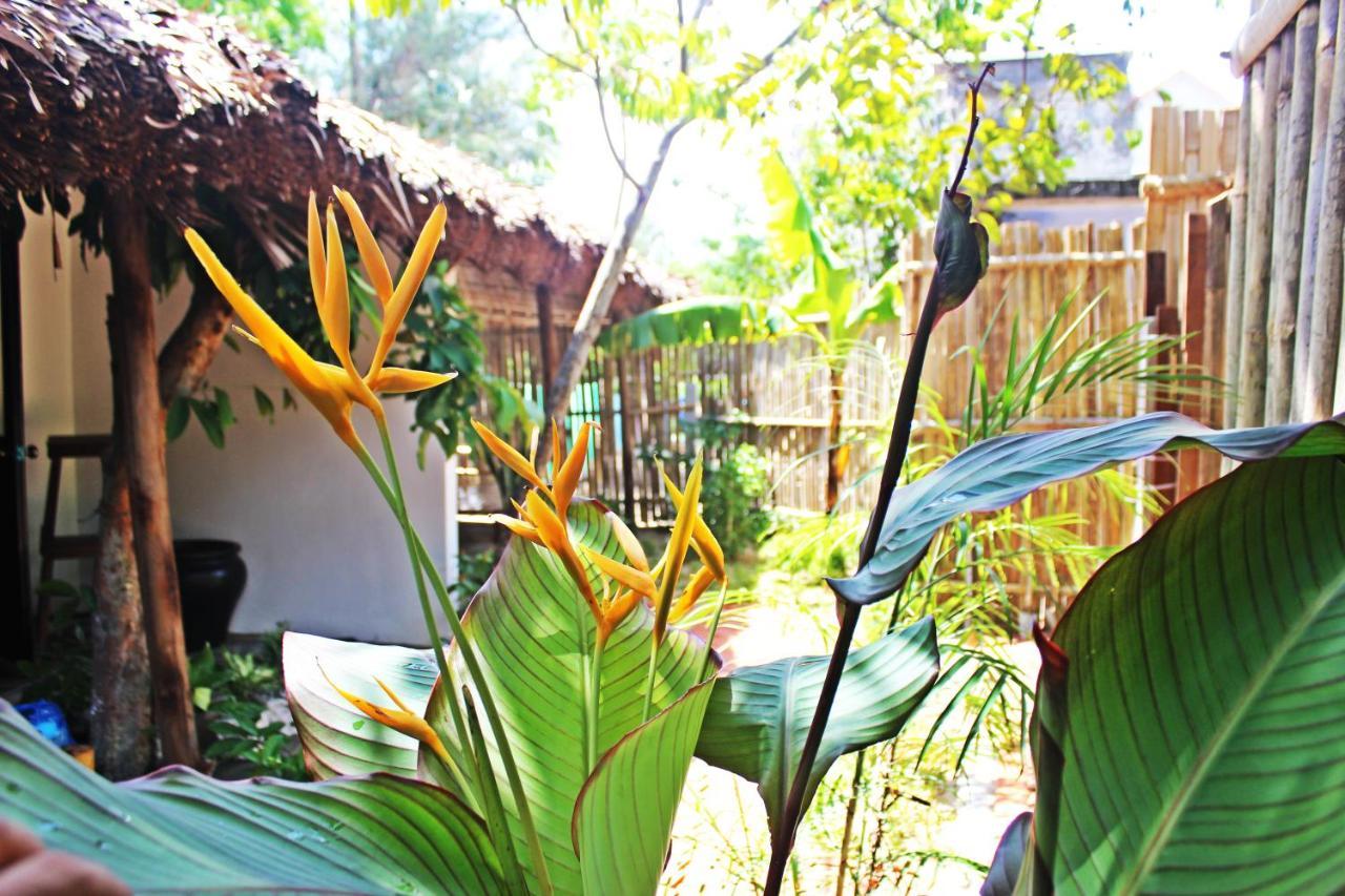 An Bang Purple Homestay Hoi An Eksteriør billede