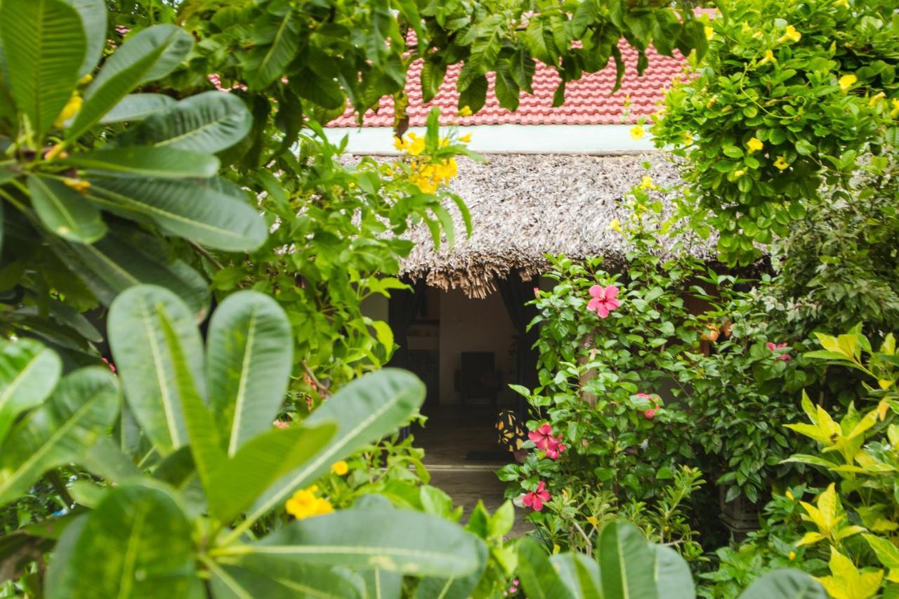 An Bang Purple Homestay Hoi An Eksteriør billede